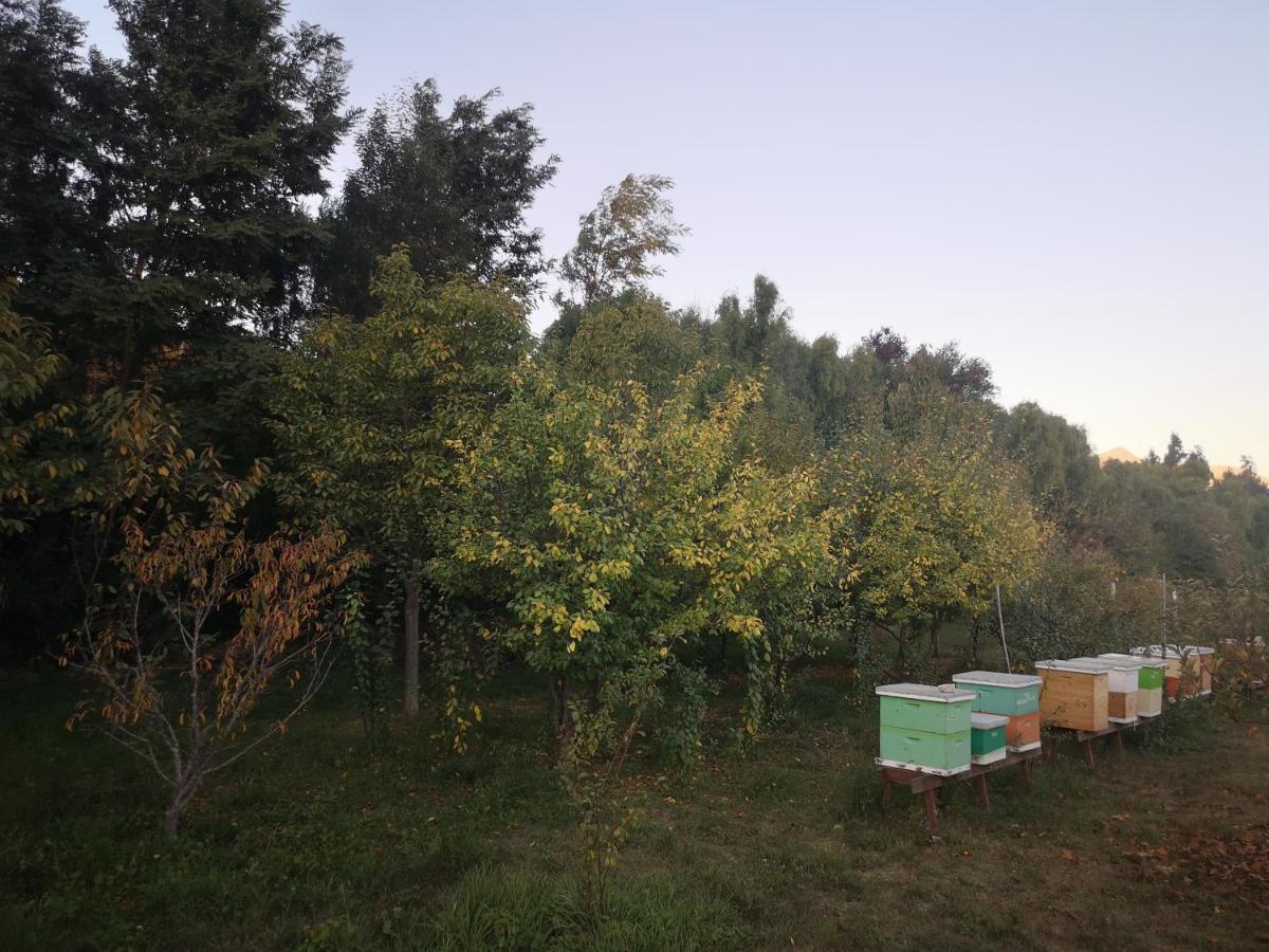 Cabana Jacaranda Salamanca Екстериор снимка