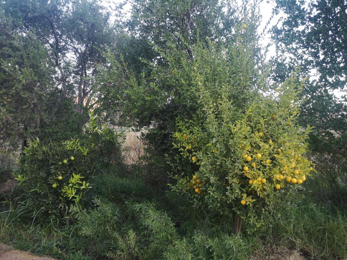 Cabana Jacaranda Salamanca Екстериор снимка